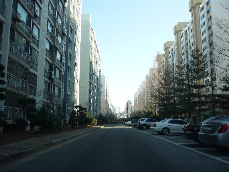 P1010852