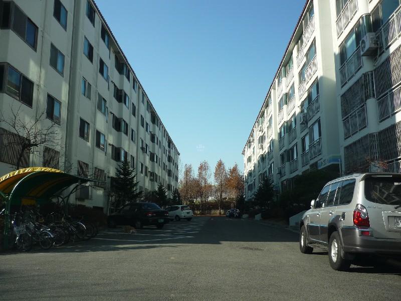 P1010799