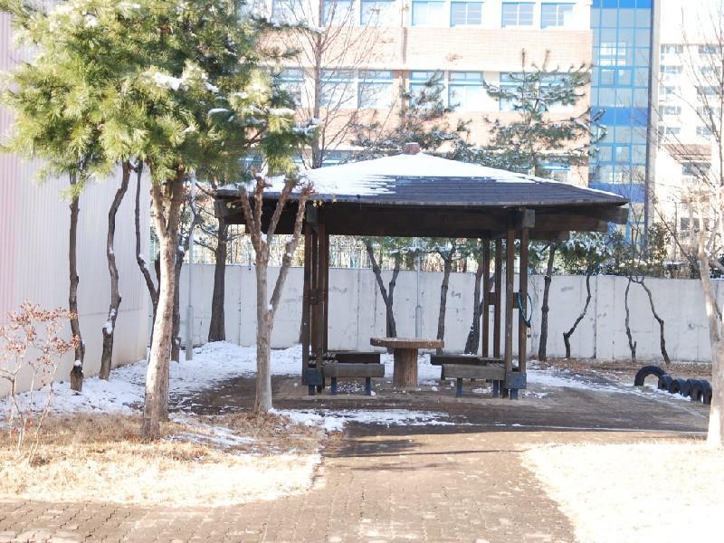 수정DSC_0009