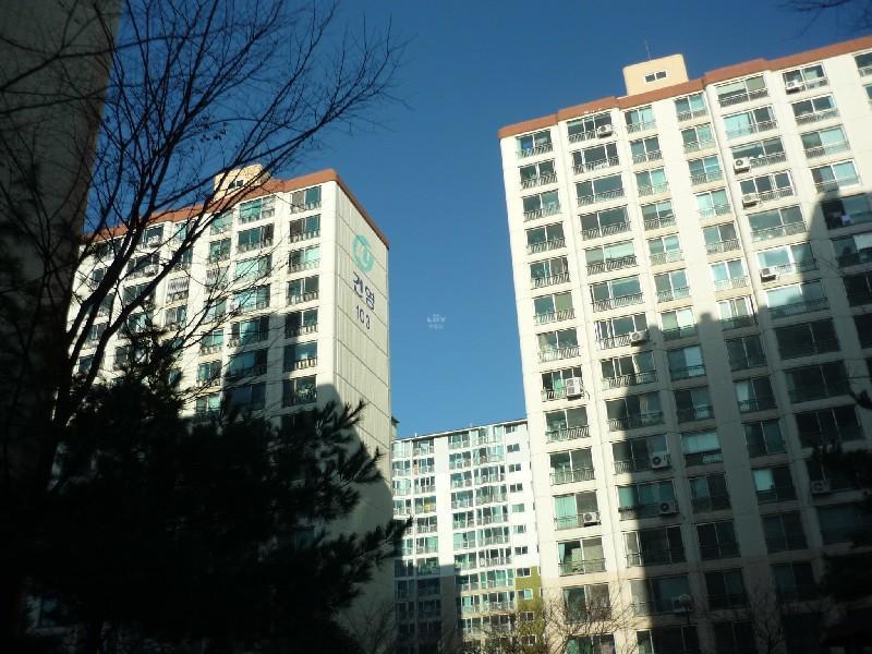 P1010753