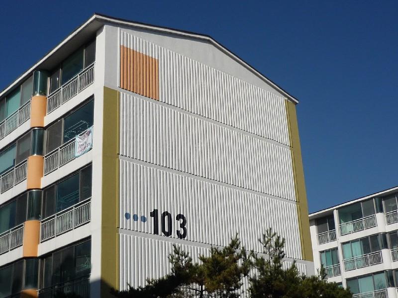 P1010934