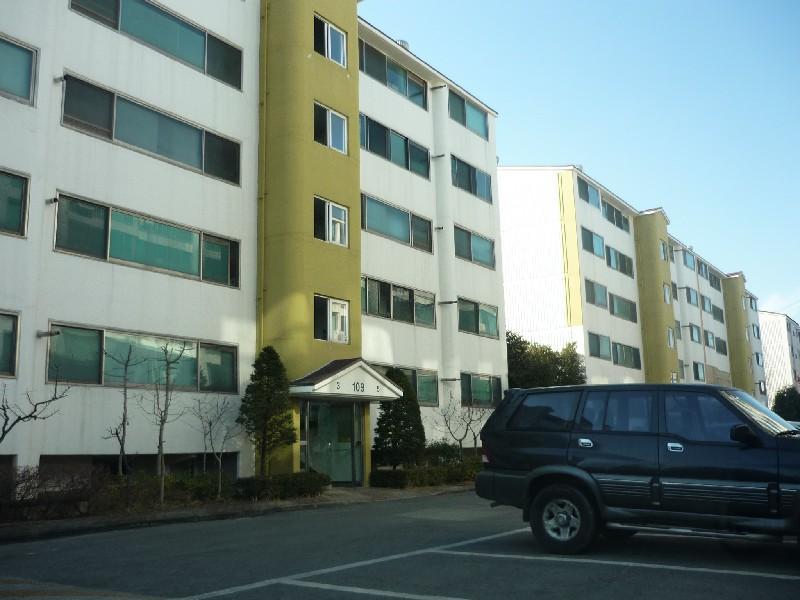 P1010943