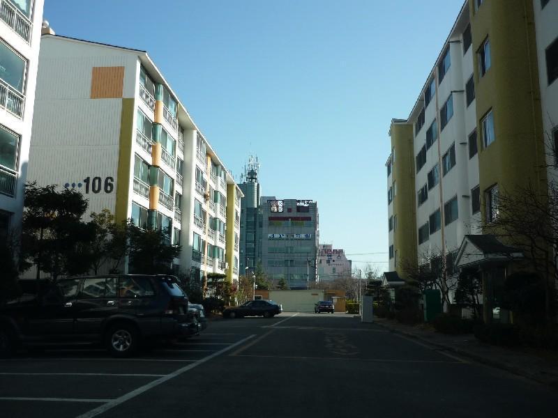 P1010947