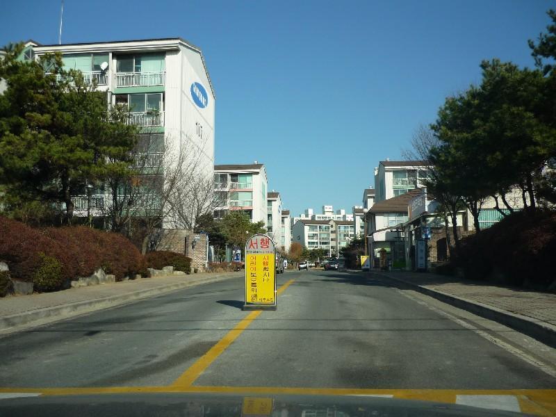 P1010953