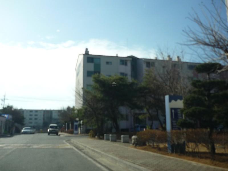P1010969