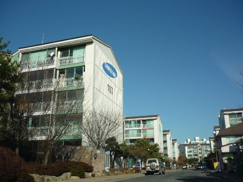 P1010954