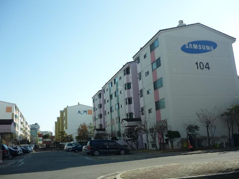 P1010964