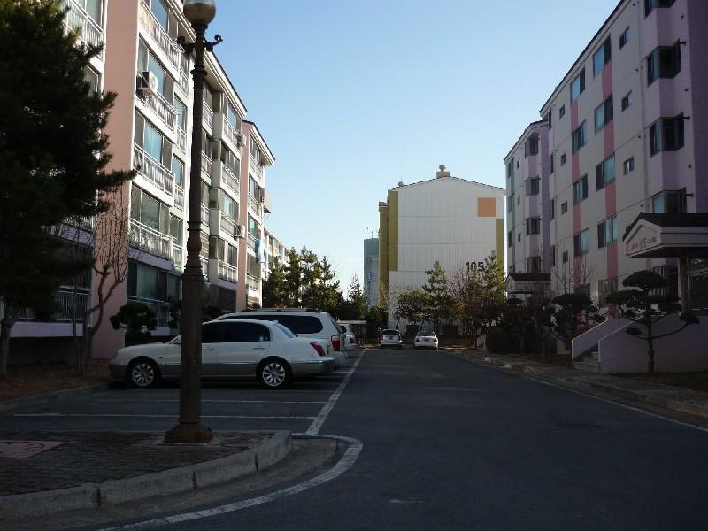 P1010961