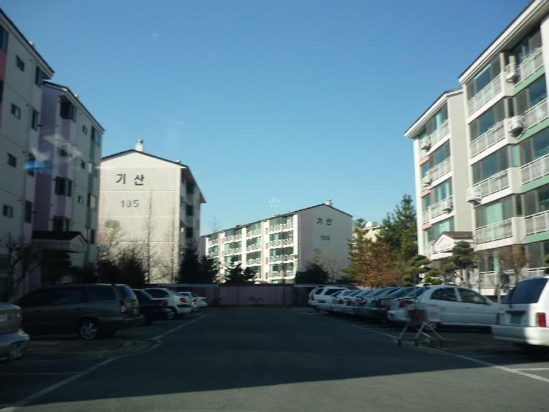 P1010963