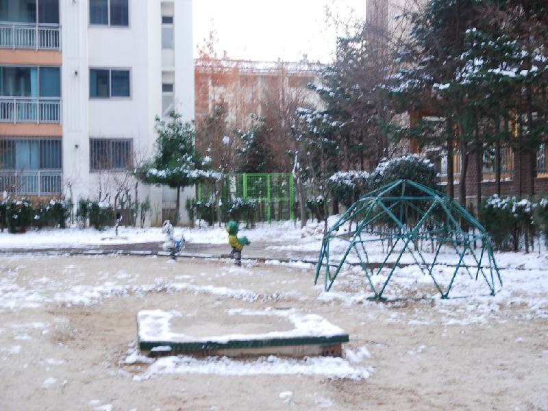 수정DSC_0011