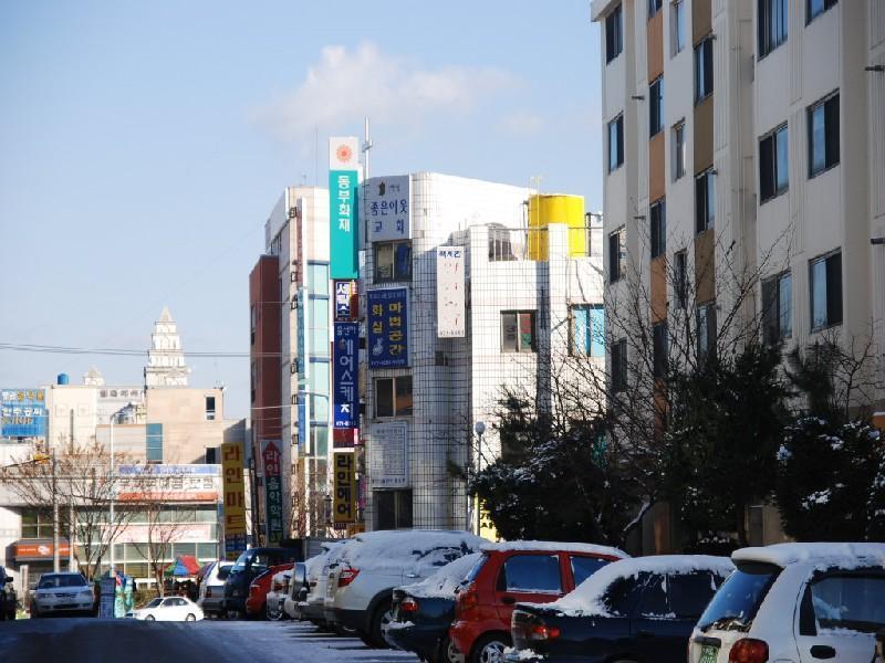 수정DSC_0031