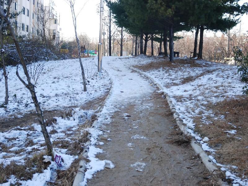 수정DSC_0035