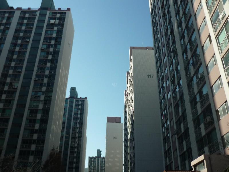 P1020766