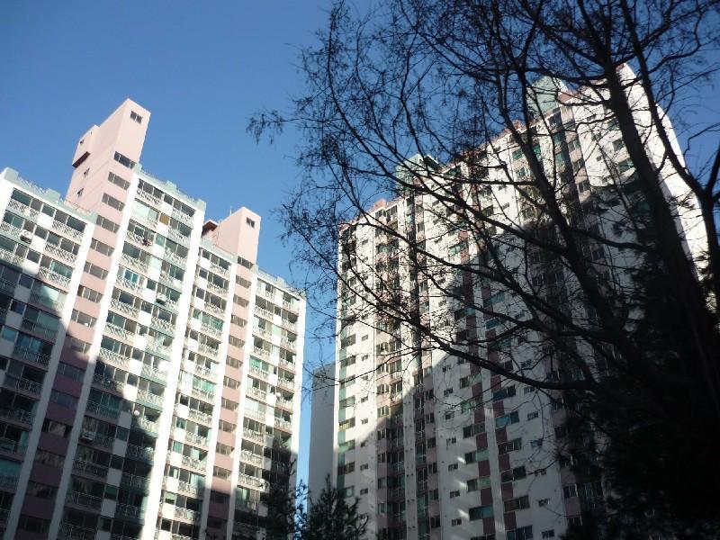 P1020786
