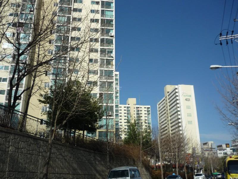 P1020588