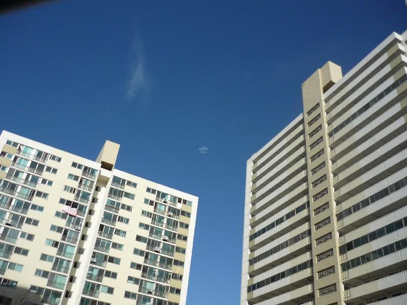 P1020601