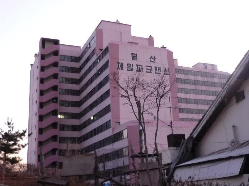 P1010644