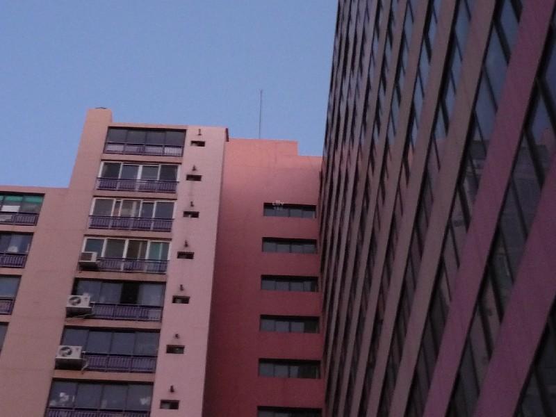 P1010648