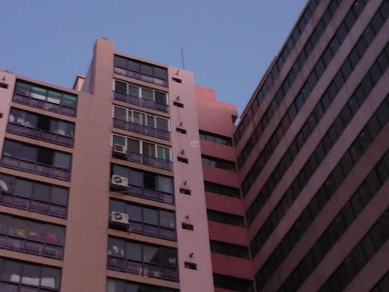 P1010650