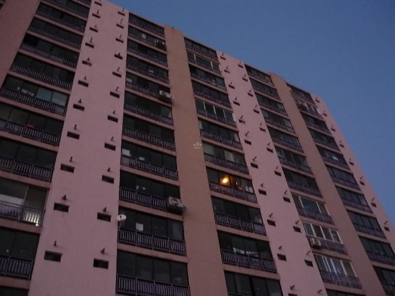 P1010658