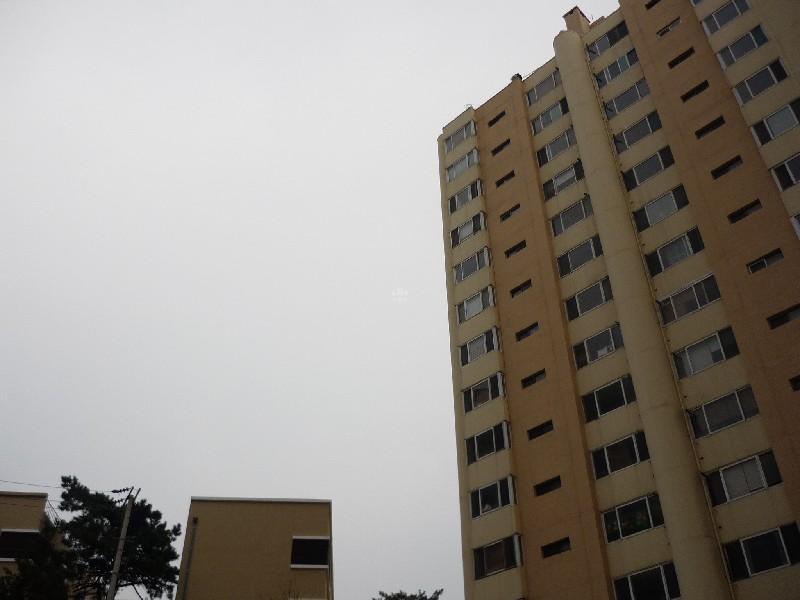 P1030843