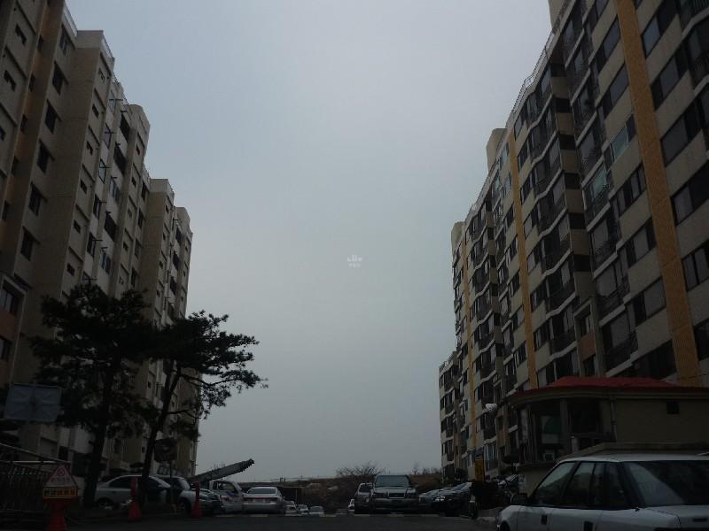 P1030818
