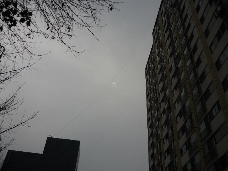P1030846