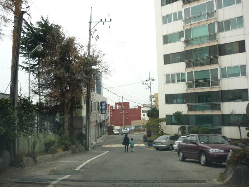 P1030956