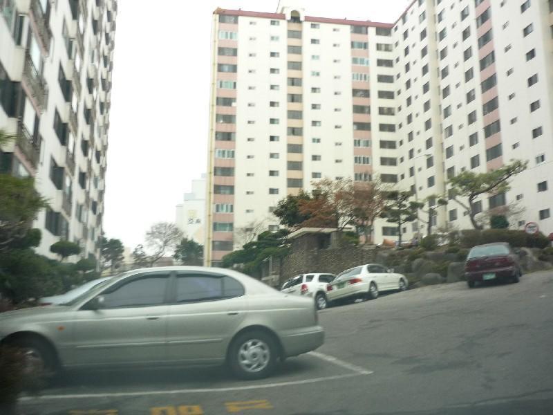 P1030938