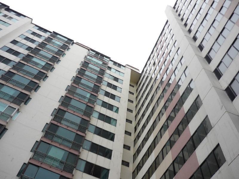P1030951