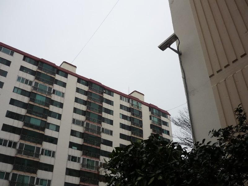 P1030953