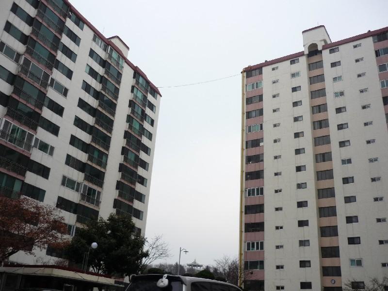 P1030954