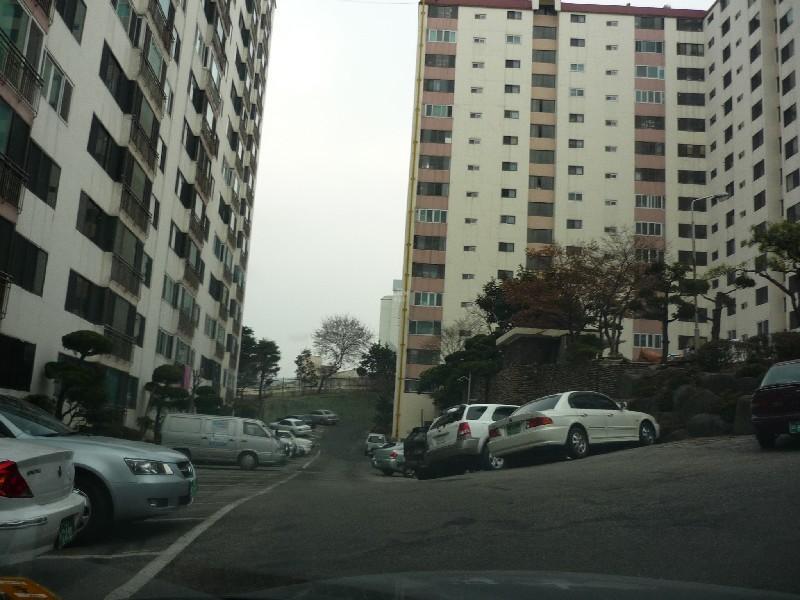 P1030939