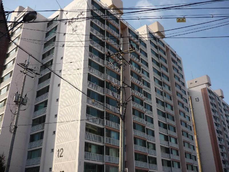 P1010560