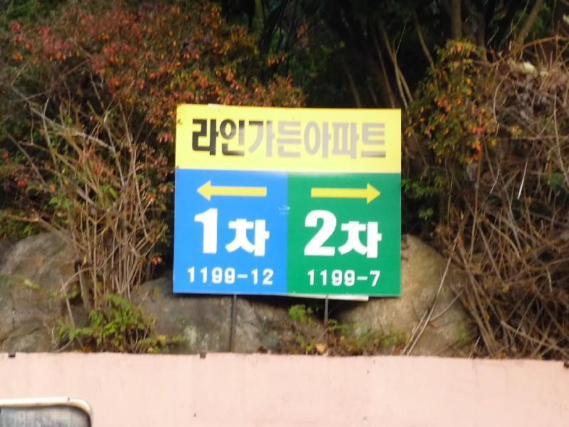 P1010610