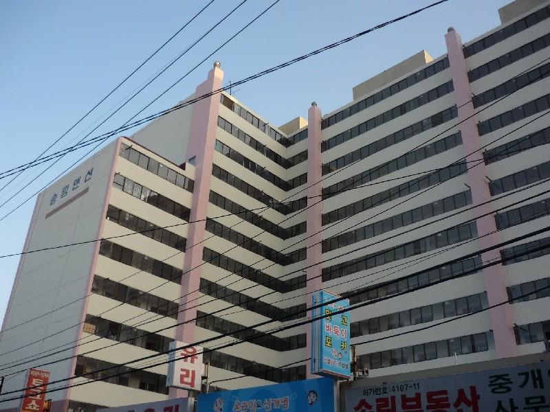 P1010604