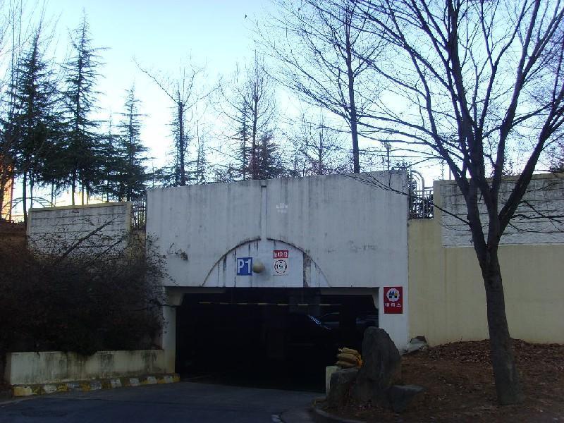 SSL21319