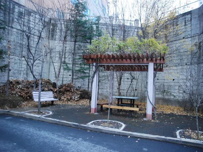 수정DSC_0025