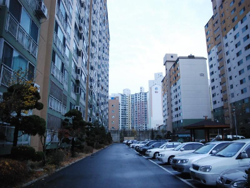 수정DSC_0014