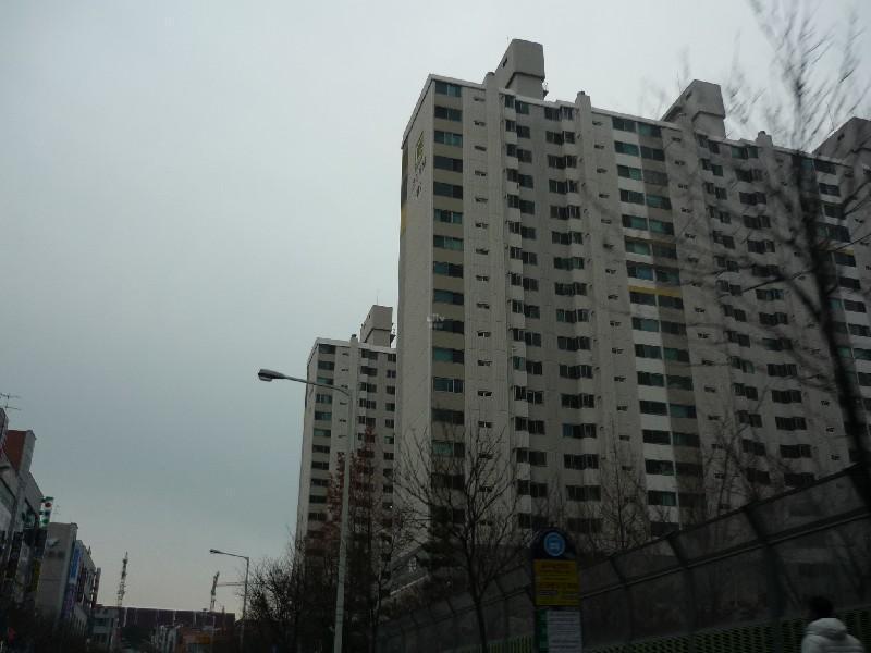 P1040051