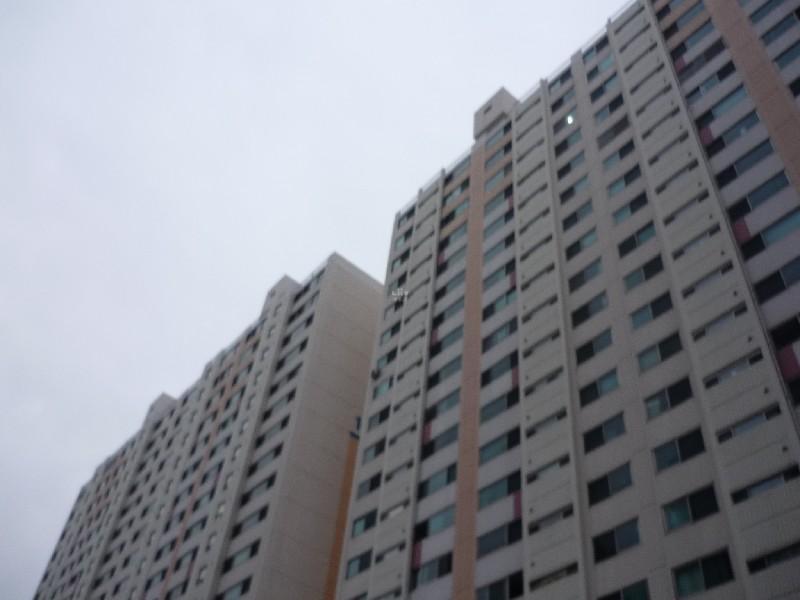 P1040165
