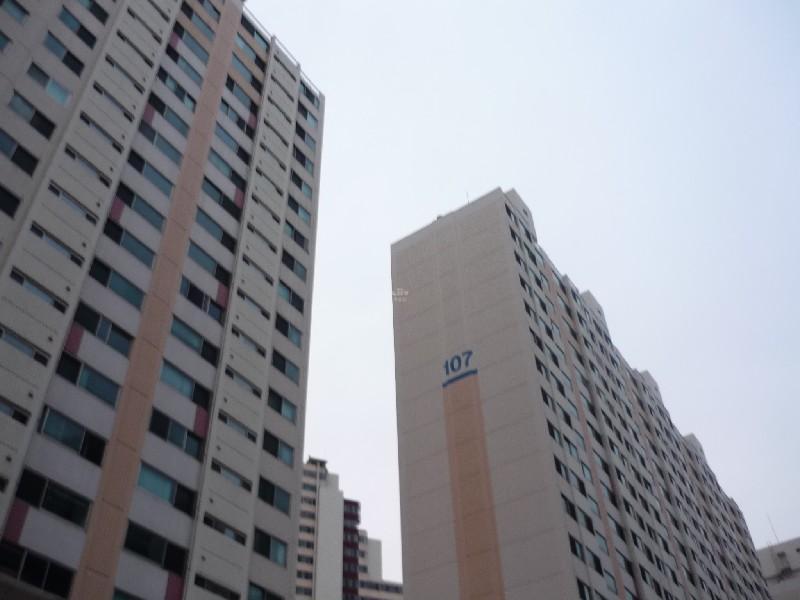 P1040166