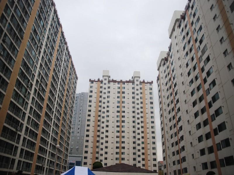 수정DSC_0007