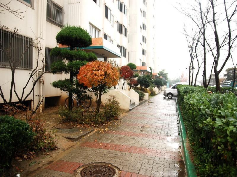 수정DSC_0004