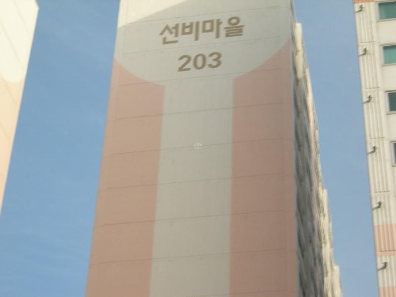 DSCN3318
