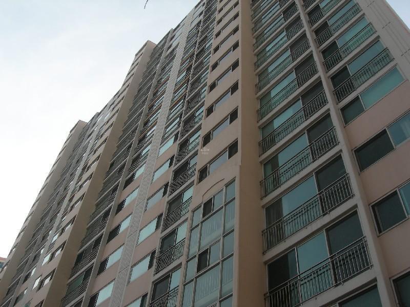 DSCN3325