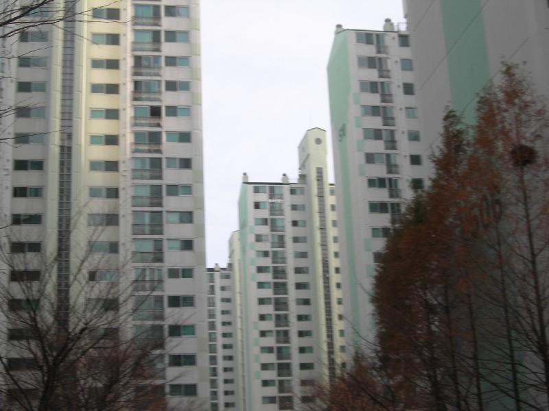 DSCN3389