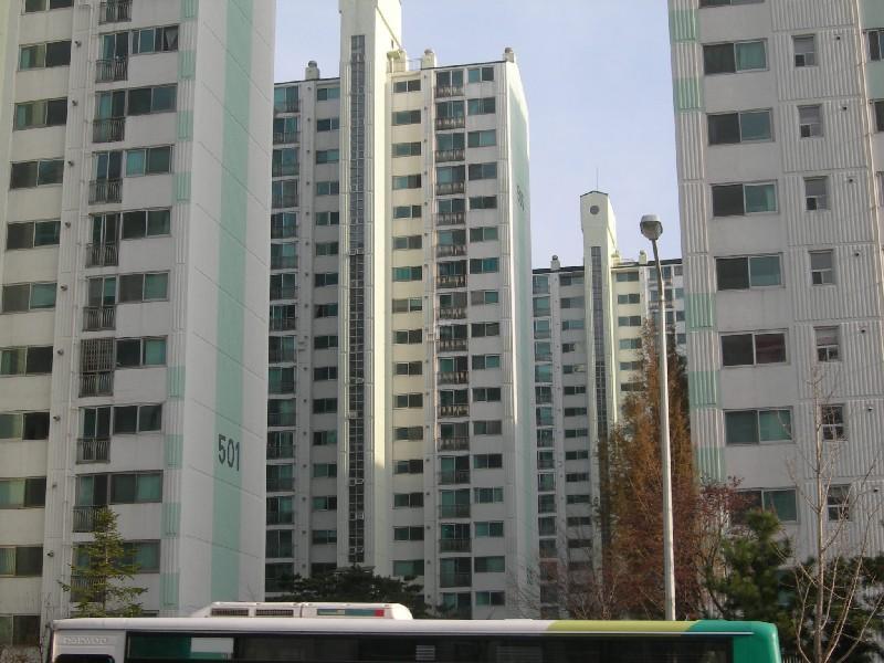 DSCN3381