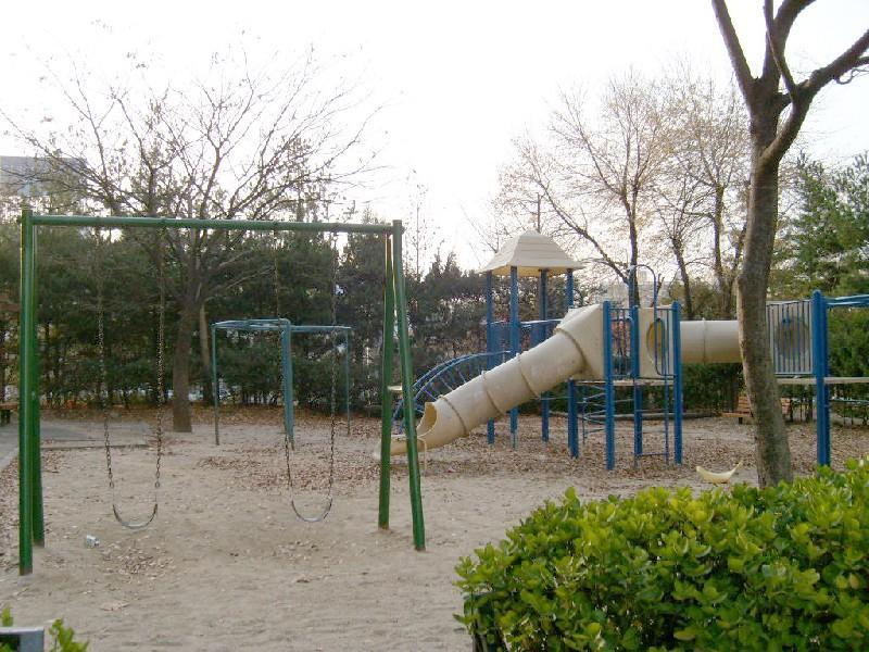 S7302533