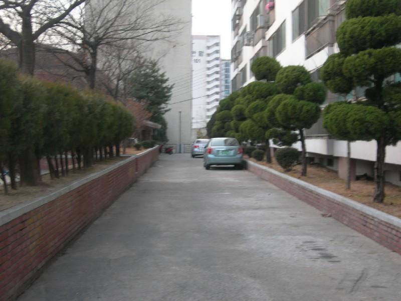 DSCN3474